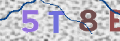 To prevent spam, please prove you are a real person by typing the characters you see in this box into the box below.