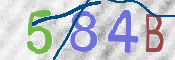 To prevent spam, please prove you are a real person by typing the characters you see in this box into the box below.