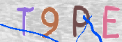 To prevent spam, please prove you are a real person by typing the characters you see in this box into the box below.