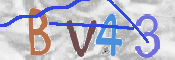 To prevent spam, please prove you are a real person by typing the characters you see in this box into the box below.