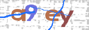 To prevent spam, please prove you are a real person by typing the characters you see in this box into the box below.