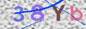 To prevent spam, please prove you are a real person by typing the characters you see in this box into the box below.