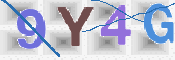 To prevent spam, please prove you are a real person by typing the characters you see in this box into the box below.