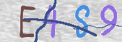 To prevent spam, please prove you are a real person by typing the characters you see in this box into the box below.