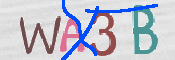 To prevent spam, please prove you are a real person by typing the characters you see in this box into the box below.