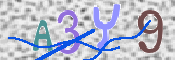 To prevent spam, please prove you are a real person by typing the characters you see in this box into the box below.