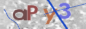 To prevent spam, please prove you are a real person by typing the characters you see in this box into the box below.