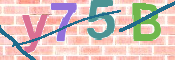 To prevent spam, please prove you are a real person by typing the characters you see in this box into the box below.