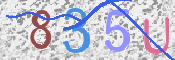 To prevent spam, please prove you are a real person by typing the characters you see in this box into the box below.