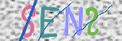To prevent spam, please prove you are a real person by typing the characters you see in this box into the box below.