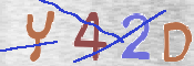 To prevent spam, please prove you are a real person by typing the characters you see in this box into the box below.