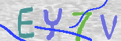 To prevent spam, please prove you are a real person by typing the characters you see in this box into the box below.