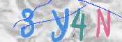 To prevent spam, please prove you are a real person by typing the characters you see in this box into the box below.