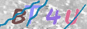 To prevent spam, please prove you are a real person by typing the characters you see in this box into the box below.