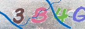 To prevent spam, please prove you are a real person by typing the characters you see in this box into the box below.