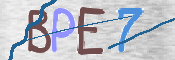 To prevent spam, please prove you are a real person by typing the characters you see in this box into the box below.