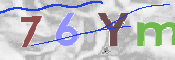 To prevent spam, please prove you are a real person by typing the characters you see in this box into the box below.