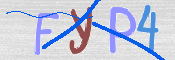 To prevent spam, please prove you are a real person by typing the characters you see in this box into the box below.