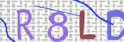 To prevent spam, please prove you are a real person by typing the characters you see in this box into the box below.