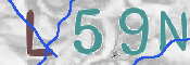 To prevent spam, please prove you are a real person by typing the characters you see in this box into the box below.