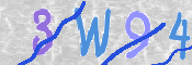 To prevent spam, please prove you are a real person by typing the characters you see in this box into the box below.
