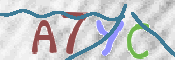 To prevent spam, please prove you are a real person by typing the characters you see in this box into the box below.