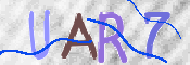 To prevent spam, please prove you are a real person by typing the characters you see in this box into the box below.