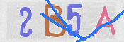 To prevent spam, please prove you are a real person by typing the characters you see in this box into the box below.