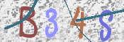 To prevent spam, please prove you are a real person by typing the characters you see in this box into the box below.