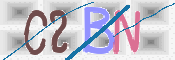 To prevent spam, please prove you are a real person by typing the characters you see in this box into the box below.