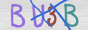 To prevent spam, please prove you are a real person by typing the characters you see in this box into the box below.