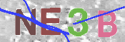 To prevent spam, please prove you are a real person by typing the characters you see in this box into the box below.