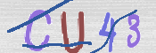 To prevent spam, please prove you are a real person by typing the characters you see in this box into the box below.