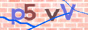 To prevent spam, please prove you are a real person by typing the characters you see in this box into the box below.