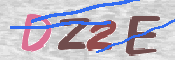 To prevent spam, please prove you are a real person by typing the characters you see in this box into the box below.