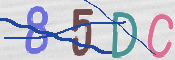 To prevent spam, please prove you are a real person by typing the characters you see in this box into the box below.