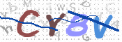 To prevent spam, please prove you are a real person by typing the characters you see in this box into the box below.