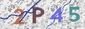 To prevent spam, please prove you are a real person by typing the characters you see in this box into the box below.