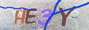 To prevent spam, please prove you are a real person by typing the characters you see in this box into the box below.