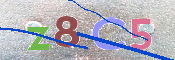 To prevent spam, please prove you are a real person by typing the characters you see in this box into the box below.