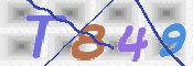 To prevent spam, please prove you are a real person by typing the characters you see in this box into the box below.