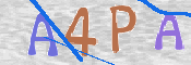 To prevent spam, please prove you are a real person by typing the characters you see in this box into the box below.