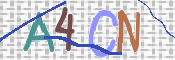 To prevent spam, please prove you are a real person by typing the characters you see in this box into the box below.