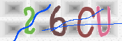 To prevent spam, please prove you are a real person by typing the characters you see in this box into the box below.