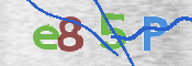 To prevent spam, please prove you are a real person by typing the characters you see in this box into the box below.
