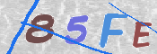 To prevent spam, please prove you are a real person by typing the characters you see in this box into the box below.