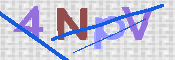 To prevent spam, please prove you are a real person by typing the characters you see in this box into the box below.