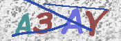To prevent spam, please prove you are a real person by typing the characters you see in this box into the box below.