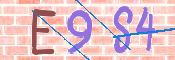 To prevent spam, please prove you are a real person by typing the characters you see in this box into the box below.