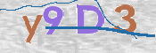 To prevent spam, please prove you are a real person by typing the characters you see in this box into the box below.